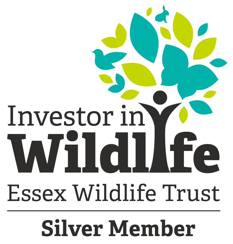 Essex Wildlife